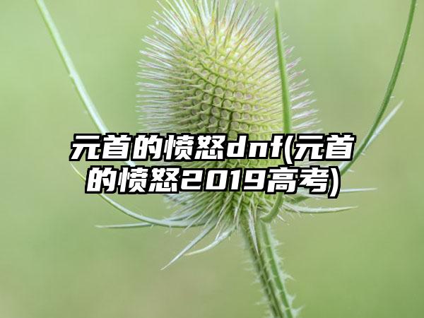 元首的愤怒dnf(元首的愤怒2019高考)