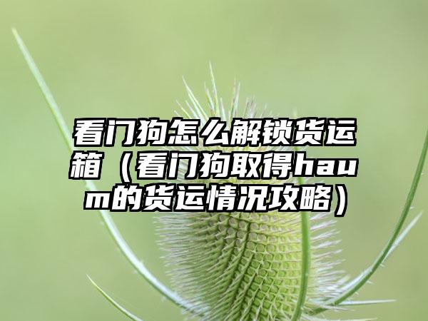 看门狗怎么解锁货运箱（看门狗取得haum的货运情况攻略）