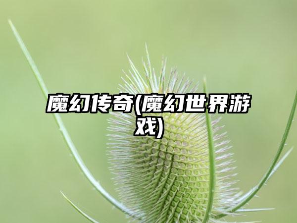 魔幻传奇(魔幻世界游戏)
