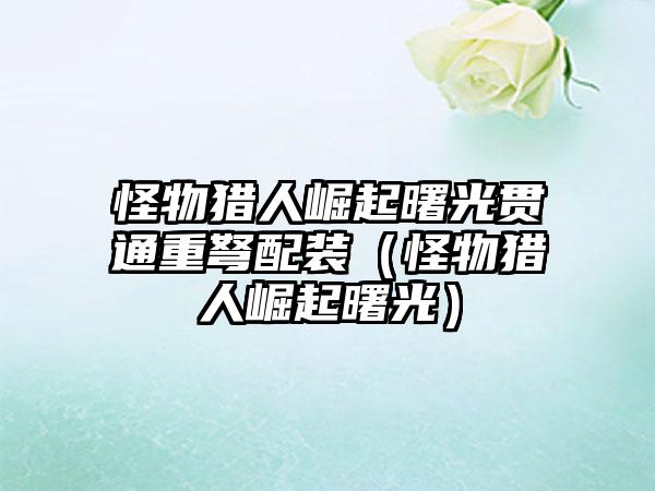 怪物猎人崛起曙光贯通重弩配装（怪物猎人崛起曙光）