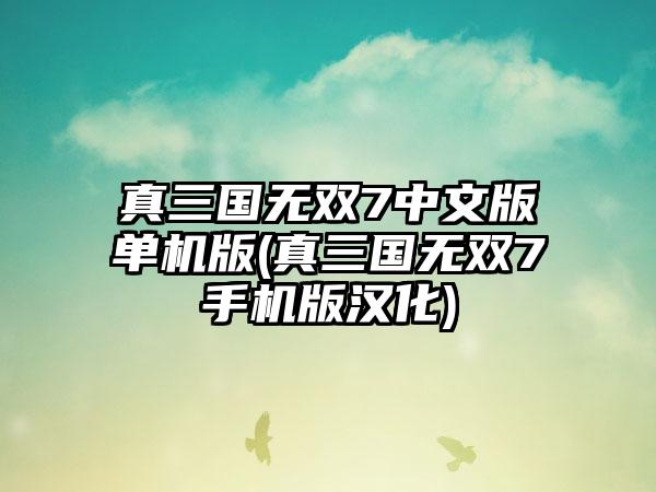 真三国无双7中文版单机版(真三国无双7手机版汉化)
