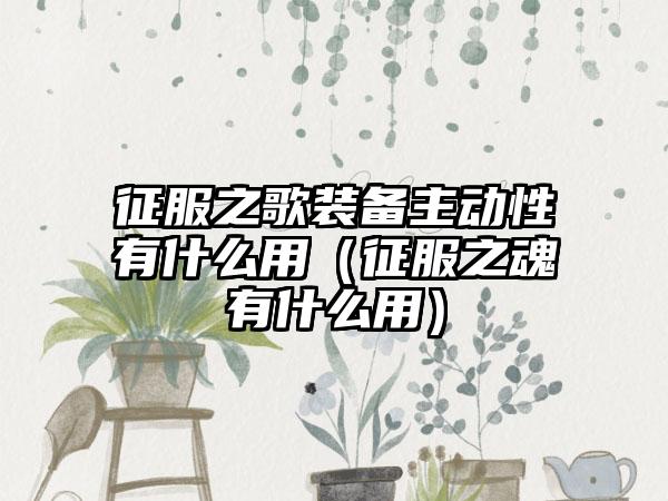 征服之歌装备主动性有什么用（征服之魂有什么用）