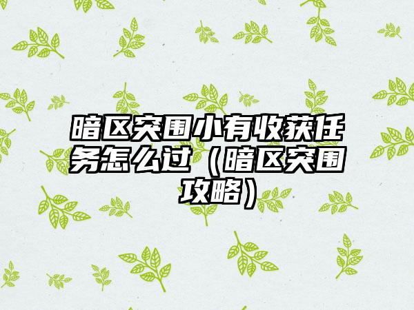 暗区突围小有收获任务怎么过（暗区突围 攻略）