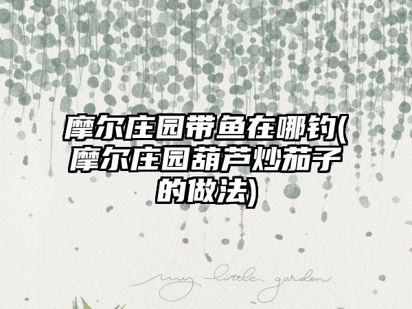 摩尔庄园带鱼在哪钓(摩尔庄园葫芦炒茄子的做法)