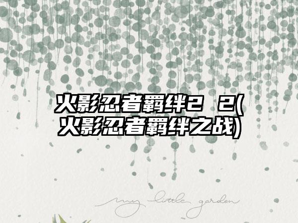 火影忍者羁绊2 2(火影忍者羁绊之战)