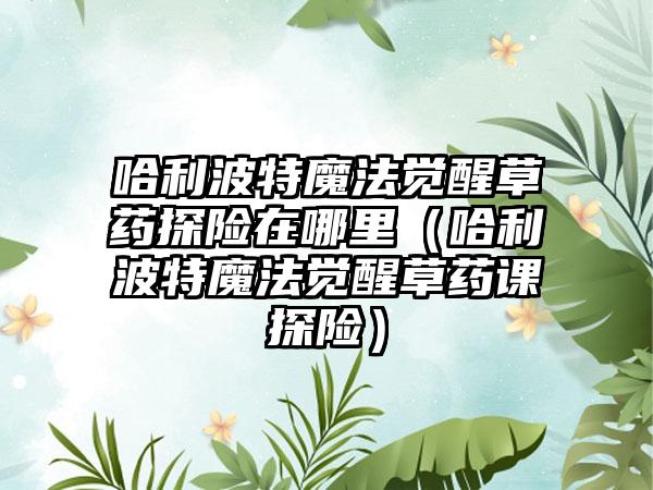 哈利波特魔法觉醒草药探险在哪里（哈利波特魔法觉醒草药课探险）