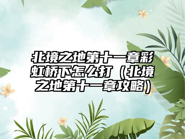 北境之地第十一章彩虹桥下怎么打（北境之地第十一章攻略）