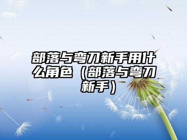 部落与弯刀新手用什么角色（部落与弯刀 新手）