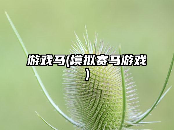 游戏马(模拟赛马游戏)