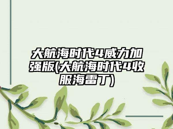 大航海时代4威力加强版(大航海时代4收服海雷丁)