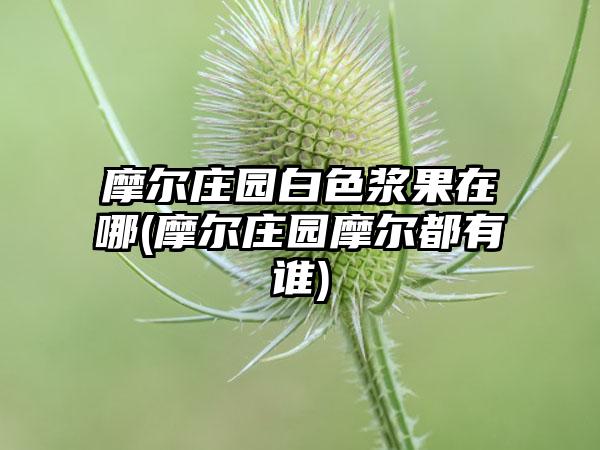 摩尔庄园白色浆果在哪(摩尔庄园摩尔都有谁)