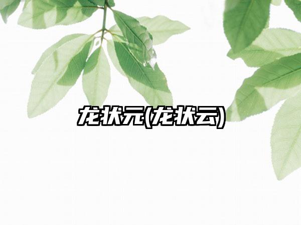 龙状元(龙状云)