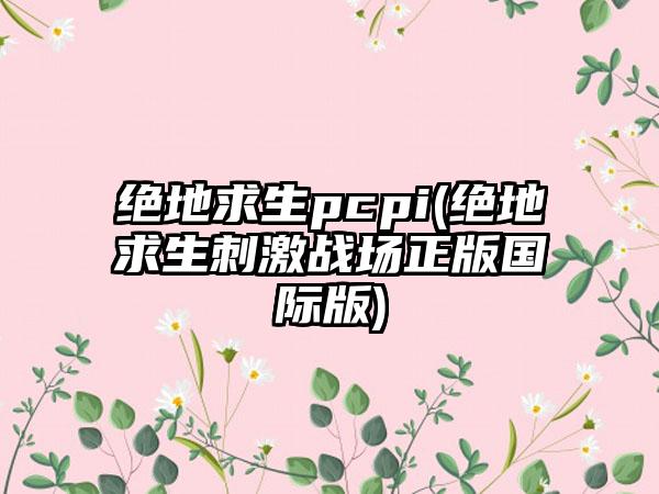 绝地求生pcpi(绝地求生刺激战场正版国际版)