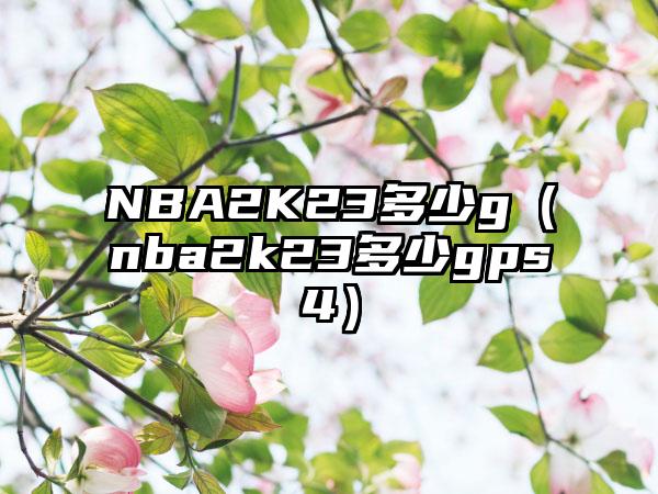 NBA2K23多少g（nba2k23多少gps4）