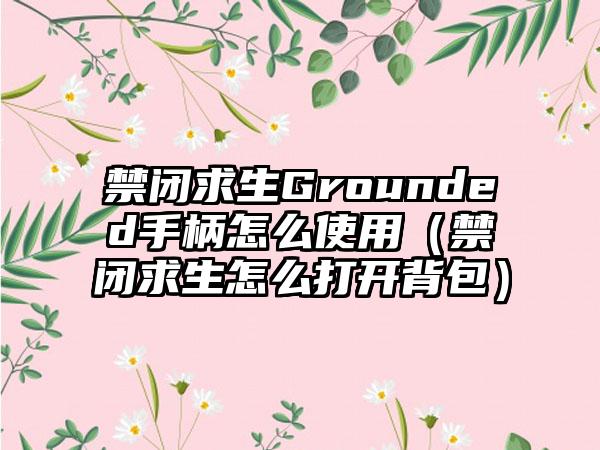 禁闭求生Grounded手柄怎么使用（禁闭求生怎么打开背包）