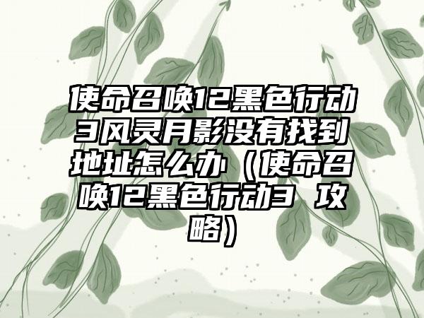 使命召唤12黑色行动3风灵月影没有找到地址怎么办（使命召唤12黑色行动3 攻略）