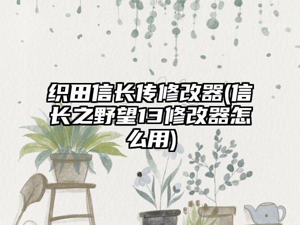 织田信长传修改器(信长之野望13修改器怎么用)