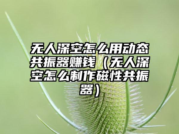 无人深空怎么用动态共振器赚钱（无人深空怎么制作磁性共振器）