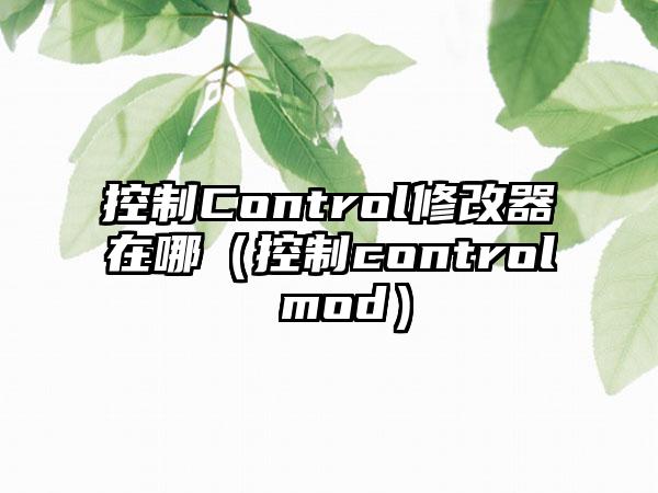 控制Control修改器在哪（控制control mod）