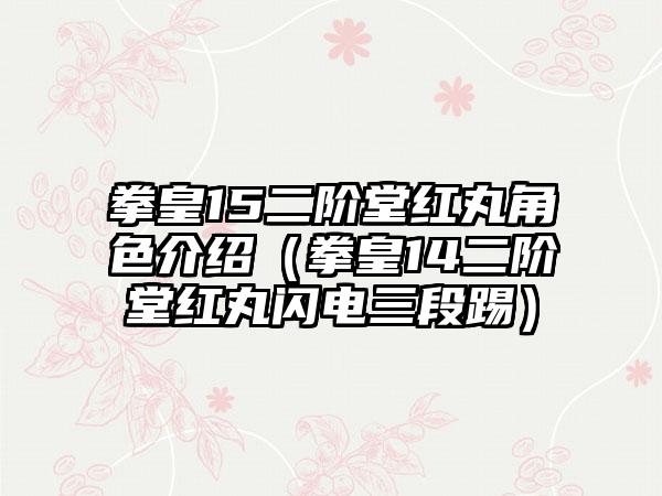 拳皇15二阶堂红丸角色介绍（拳皇14二阶堂红丸闪电三段踢）