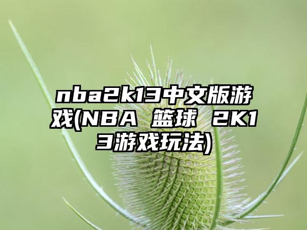 nba2k13中文版游戏(NBA 篮球 2K13游戏玩法)