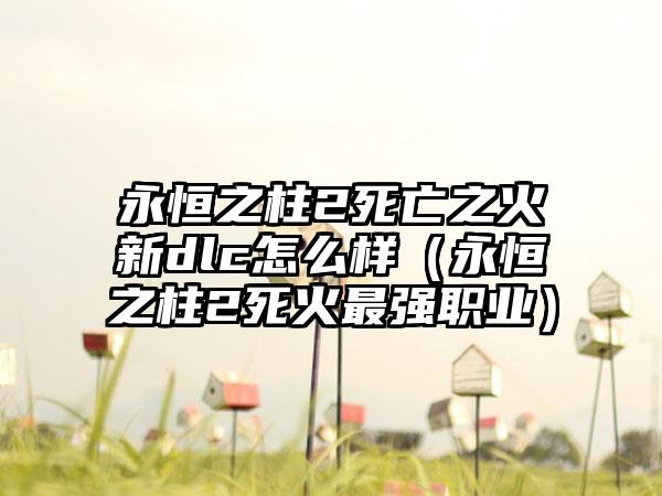 永恒之柱2死亡之火新dlc怎么样（永恒之柱2死火最强职业）