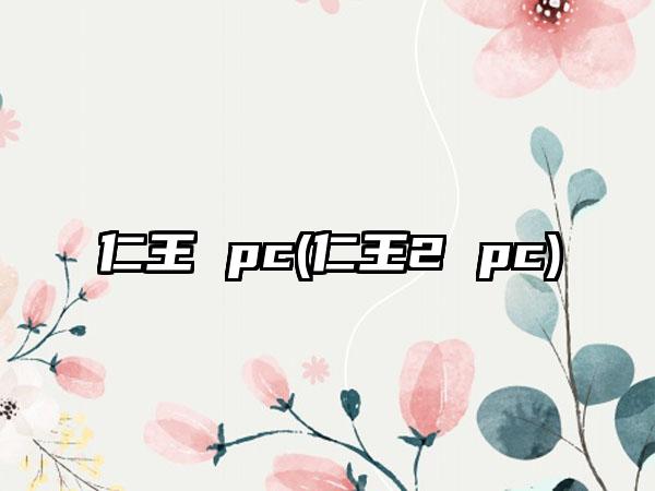 仁王 pc(仁王2 pc)