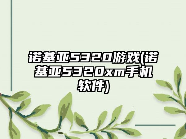 诺基亚5320游戏(诺基亚5320xm手机软件)