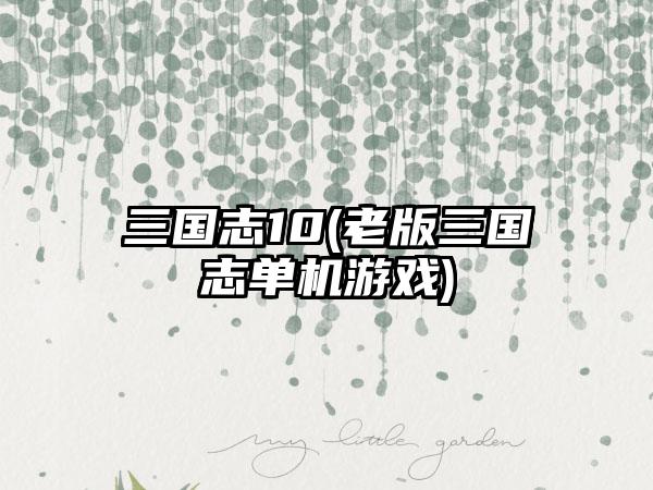 三国志10(老版三国志单机游戏)