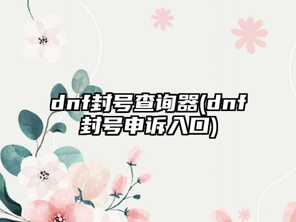 dnf封号查询器(dnf封号申诉入口)