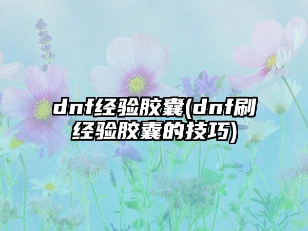 dnf经验胶囊(dnf刷经验胶囊的技巧)