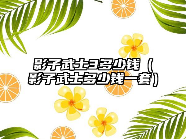 影子武士3多少钱（影子武士多少钱一套）