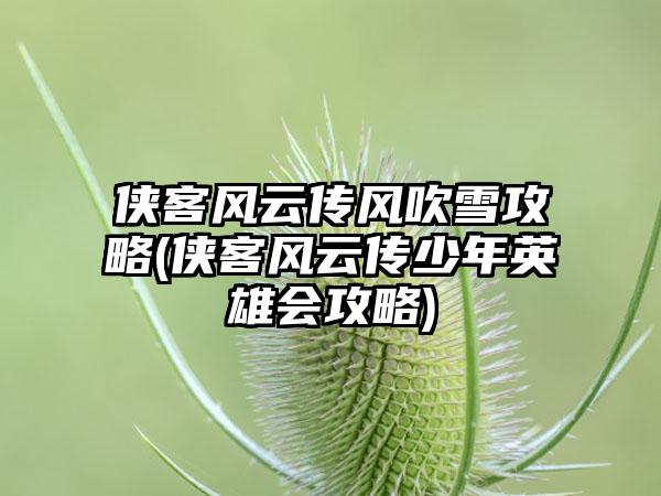 侠客风云传风吹雪攻略(侠客风云传少年英雄会攻略)