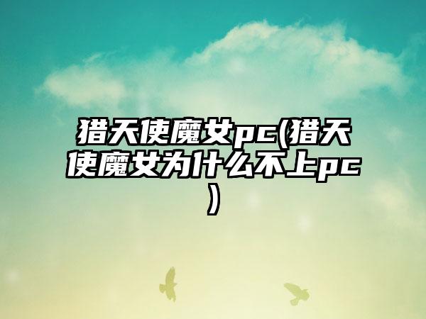 猎天使魔女pc(猎天使魔女为什么不上pc)