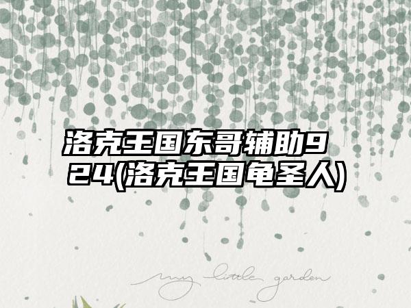 洛克王国东哥辅助9 24(洛克王国龟圣人)