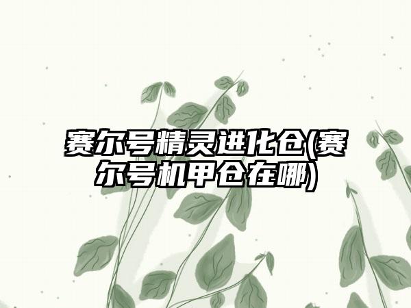 赛尔号精灵进化仓(赛尔号机甲仓在哪)