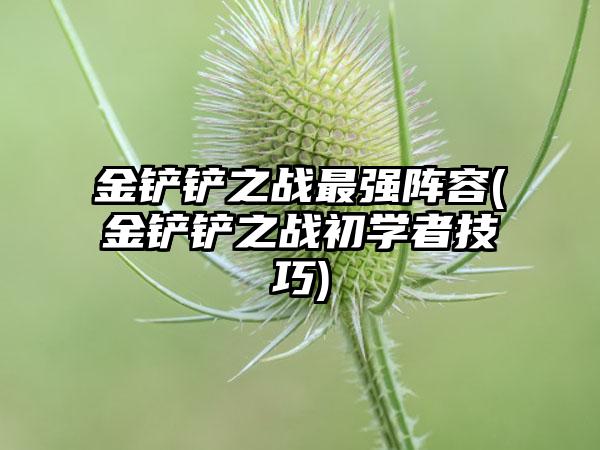金铲铲之战最强阵容(金铲铲之战初学者技巧)