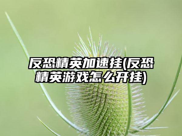 反恐精英加速挂(反恐精英游戏怎么开挂)