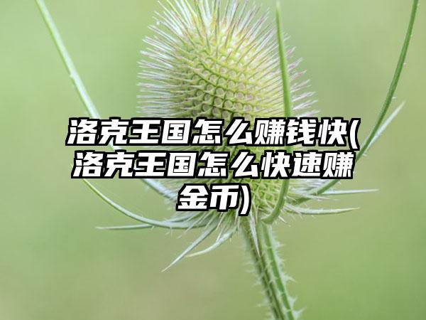 洛克王国怎么赚钱快(洛克王国怎么快速赚金币)