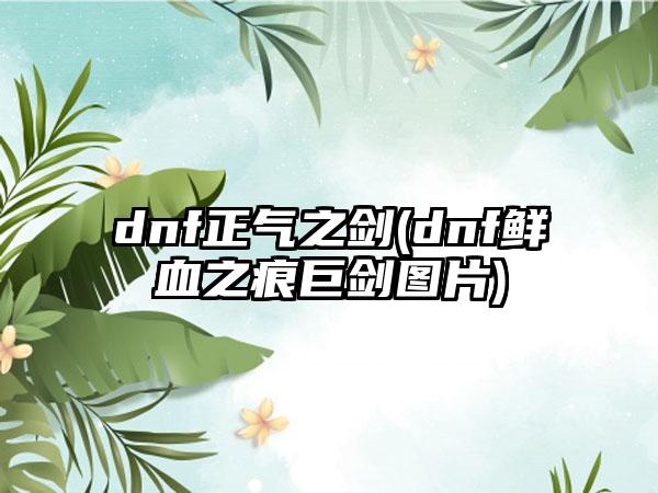 dnf正气之剑(dnf鲜血之痕巨剑图片)