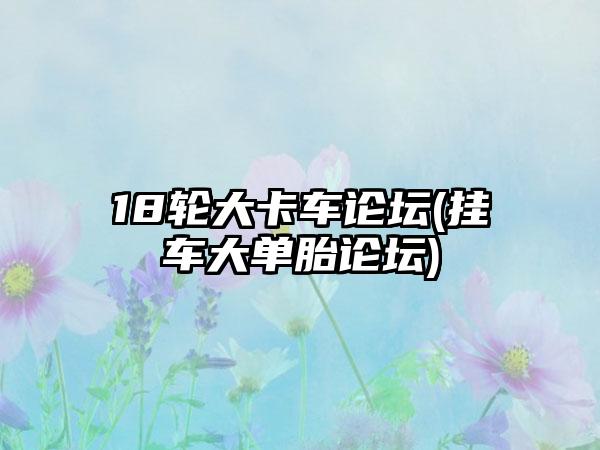 18轮大卡车论坛(挂车大单胎论坛)