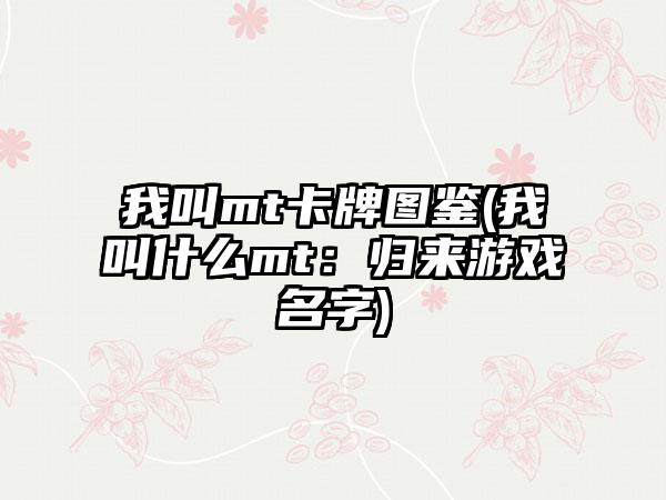 我叫mt卡牌图鉴(我叫什么mt：归来游戏名字)