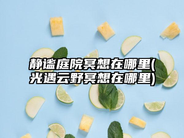 静谧庭院冥想在哪里(光遇云野冥想在哪里)