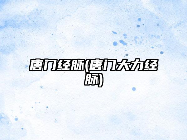唐门经脉(唐门大力经脉)
