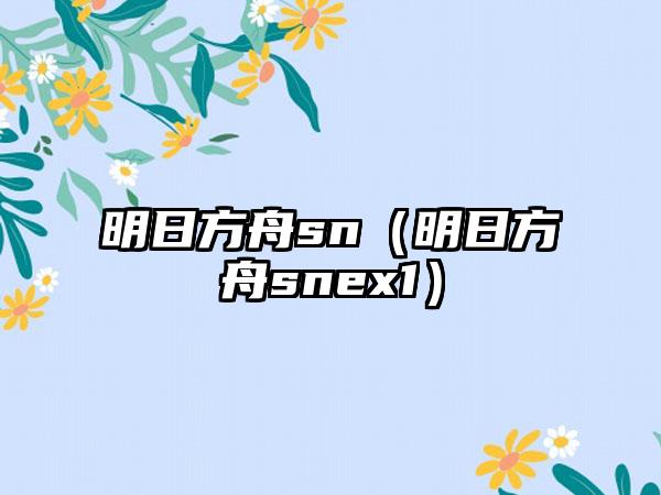 明日方舟sn（明日方舟snex1）
