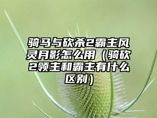 骑马与砍杀2霸主风灵月影怎么用（骑砍2领主和霸主有什么区别）