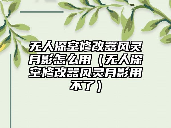 无人深空修改器风灵月影怎么用（无人深空修改器风灵月影用不了）