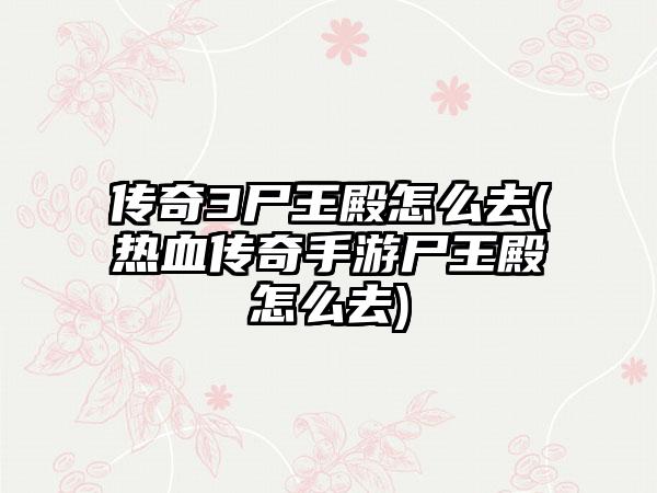 传奇3尸王殿怎么去(热血传奇手游尸王殿怎么去)