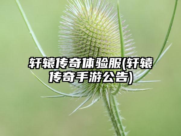 轩辕传奇体验服(轩辕传奇手游公告)