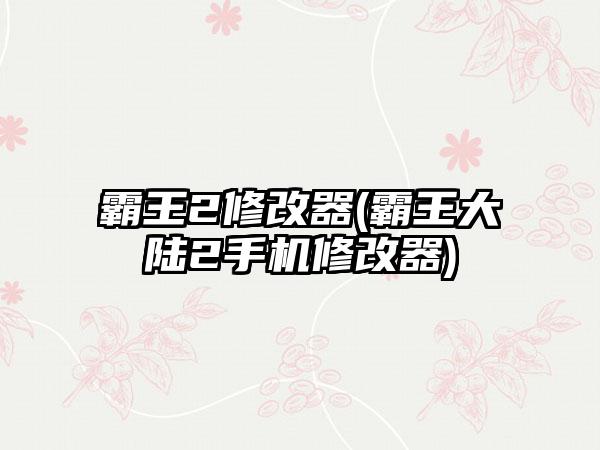 霸王2修改器(霸王大陆2手机修改器)